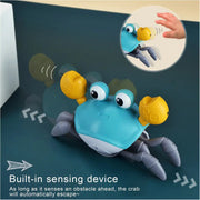 Crab Electric Educational Toy