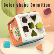 Activity Educational Cube
