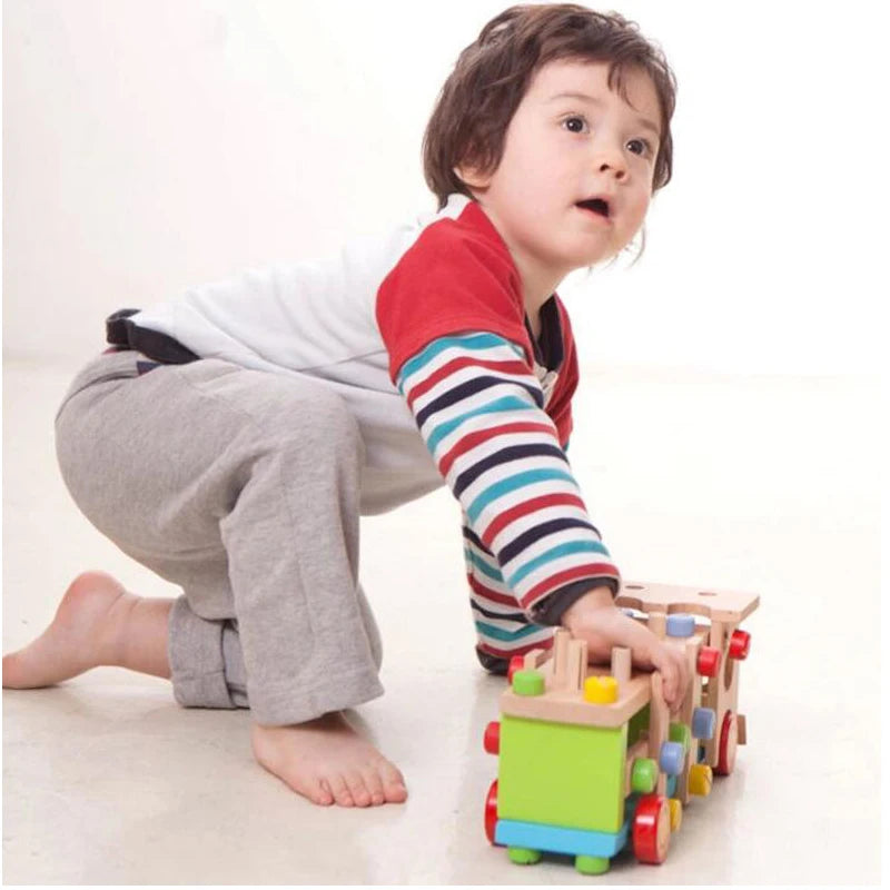Wooden Car Toy Montessori Vehicle Models Childrens Disassembly and Assembly