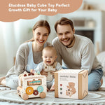Load image into Gallery viewer, Baby Wooden Montessori Toy Baby Five-In-On Car Toy
